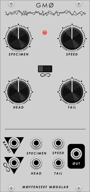 Genetically Modified Oscillator