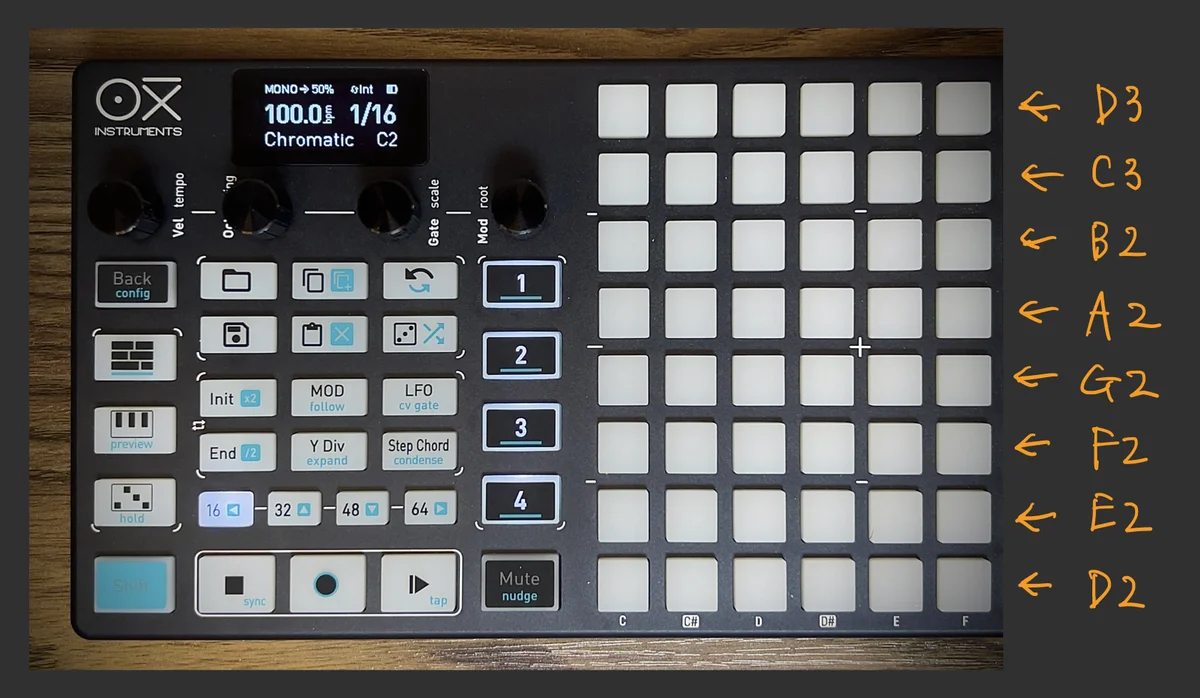 OXI ONE上に音階が図示されている様子 Dorian D2