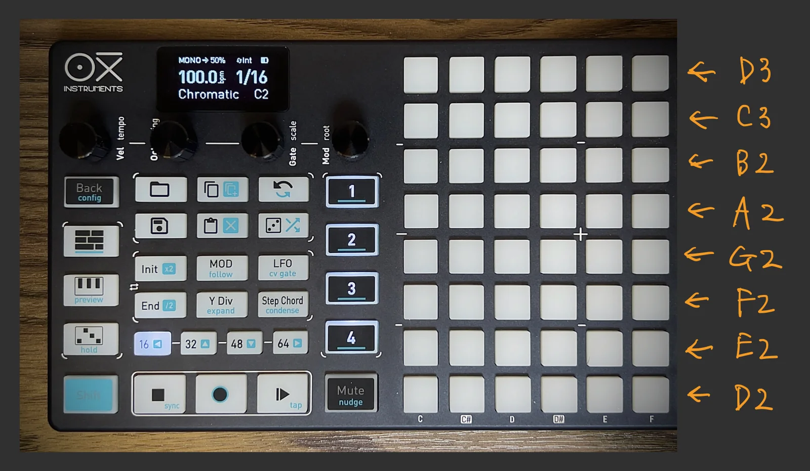 OXI ONE上に音階が図示されている様子 Dorian D2