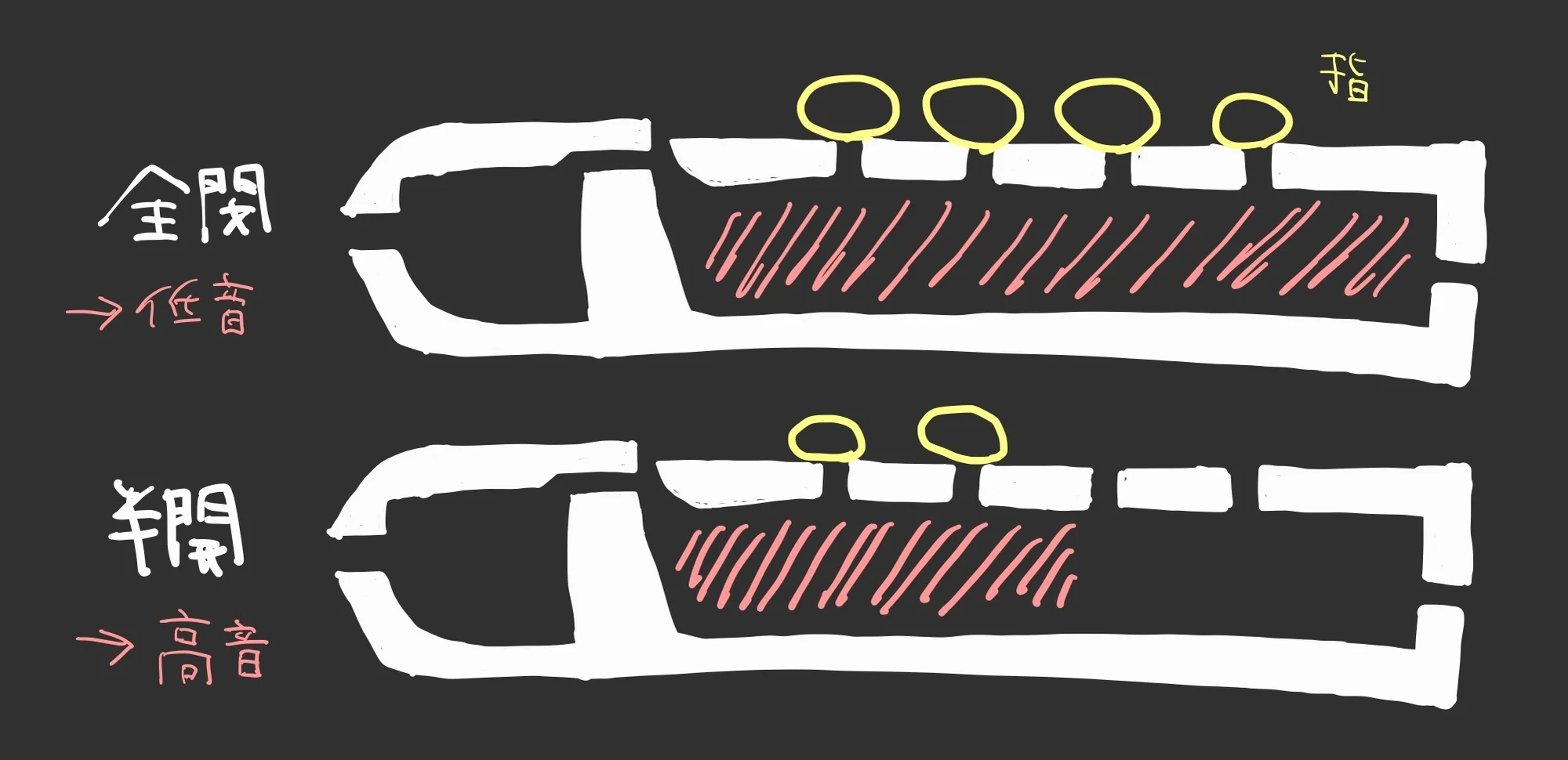 Diagram: Recorder with holes closed