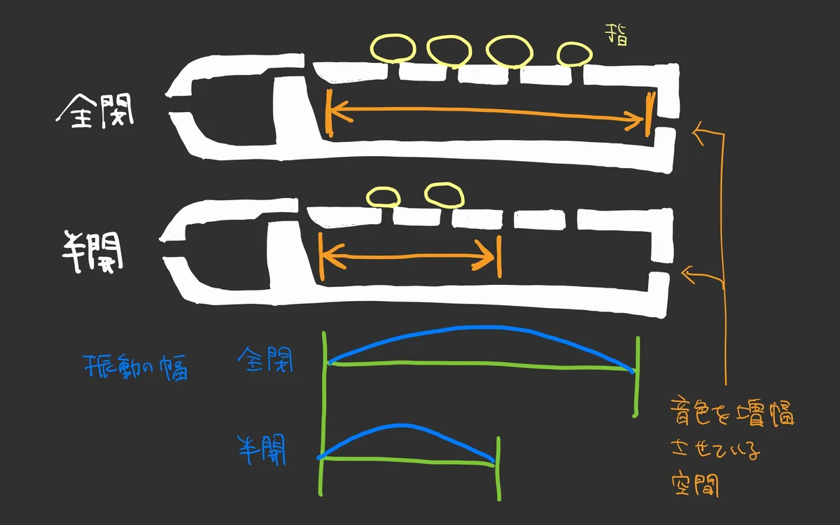 図版: リコーダーの穴を閉じた場合